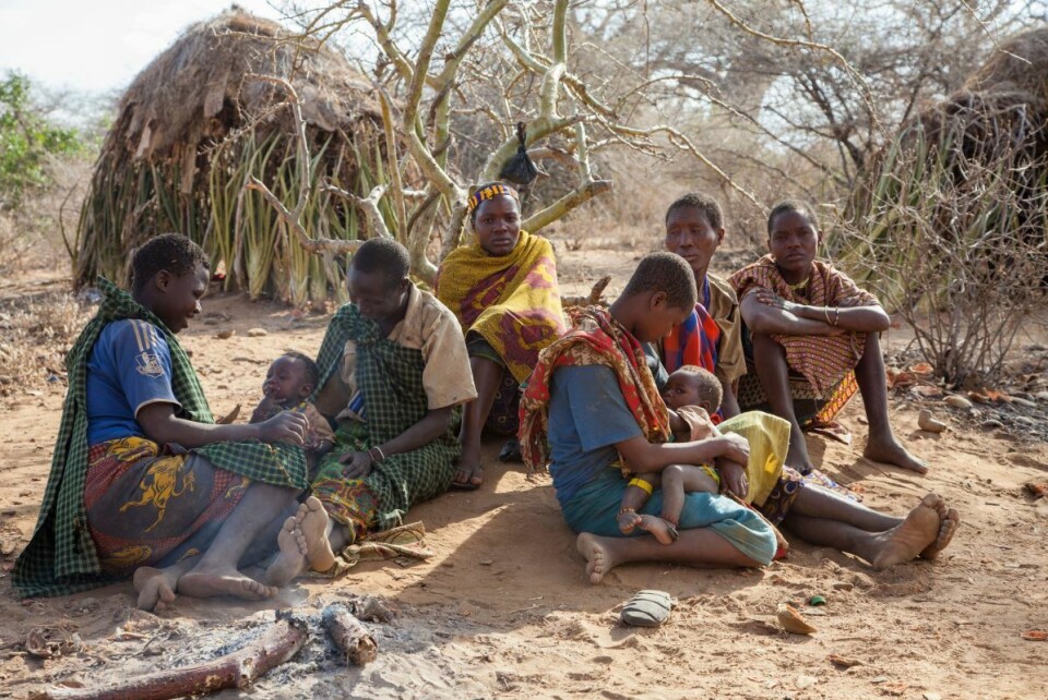 Forskere har funnet bevis for sine hypoteser i hadza-folket som bor i Tanzania. Dette folket lever slik deres forfedre har levd i titusener av år, som jegere og samlere. Hos denne gruppen gir bestemødre barnebarna næring. Foto: NTB