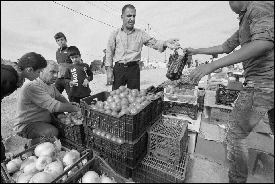 Sediq, på huk til venstre, driver en grønnsaksbutikk inne i leiren. Han flyktet fra Sari-Kani i nord-Syria i oktober sammen med kone og fire barn. Varene han selger kjøper han fra kontakter på utsiden som bringer de til leiren. 
- Forretningene går ok, men livet i leiren er håpløst. Men det er trygt her, sier han.