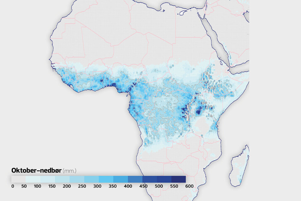 Afrika, oktober 2019: Det har regnet unormalt mye i flere afrikanske land denne høsten. Eksempelvis kom det dobbelt så mye nedbør i Den sentralafrikanske republikk i oktober i år som oktober-gjennomsnittet for de ti foregående årene. Kart: Meteorologisk institutt / Det europeiske værsenteret (ECMWF)