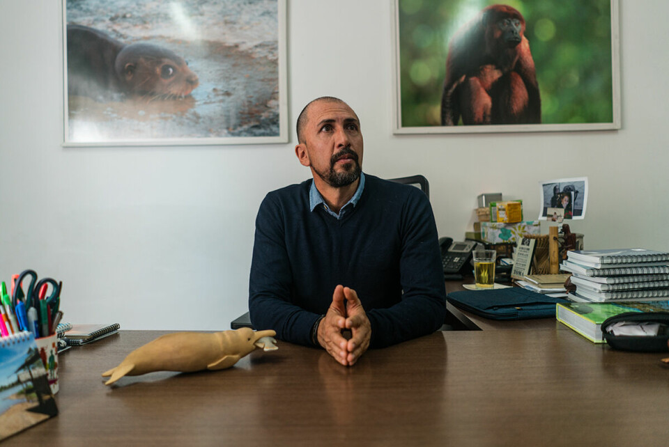 Fernando Trujillo er direktr for Omacha-stiftelsen som arbeider for å beskytte elvedelfinene.