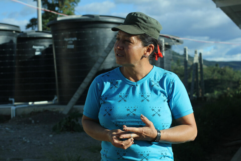 Urfolk protesterer i Colombia - leiarar vart drepne