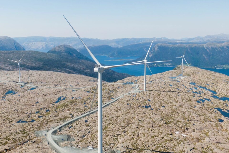 Det brukes stadig mer fornybar energi, og innen 2025 vil fornybare kilder, som vindkraft, være verdens viktigste kilder til strømproduksjon, spår IEA. Foto: Tore Meek / NTB