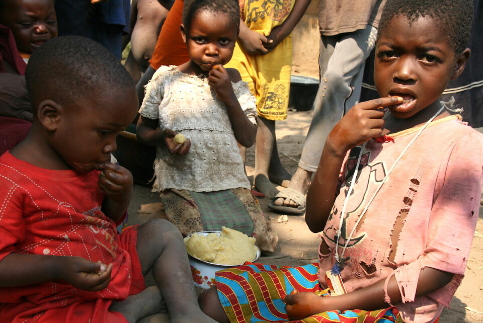 Barn i Kasai-regionen, sentralt i DR Kongo, får ett enkelt måltid om dagen med kassava-brød og litt kyllingkjøtt. På grunn av mangel på mat lider flere hundre tusen kvinner og barn i regionen av akutt eller alvorlig underernæring, opplyser Flyktninghjelpen.