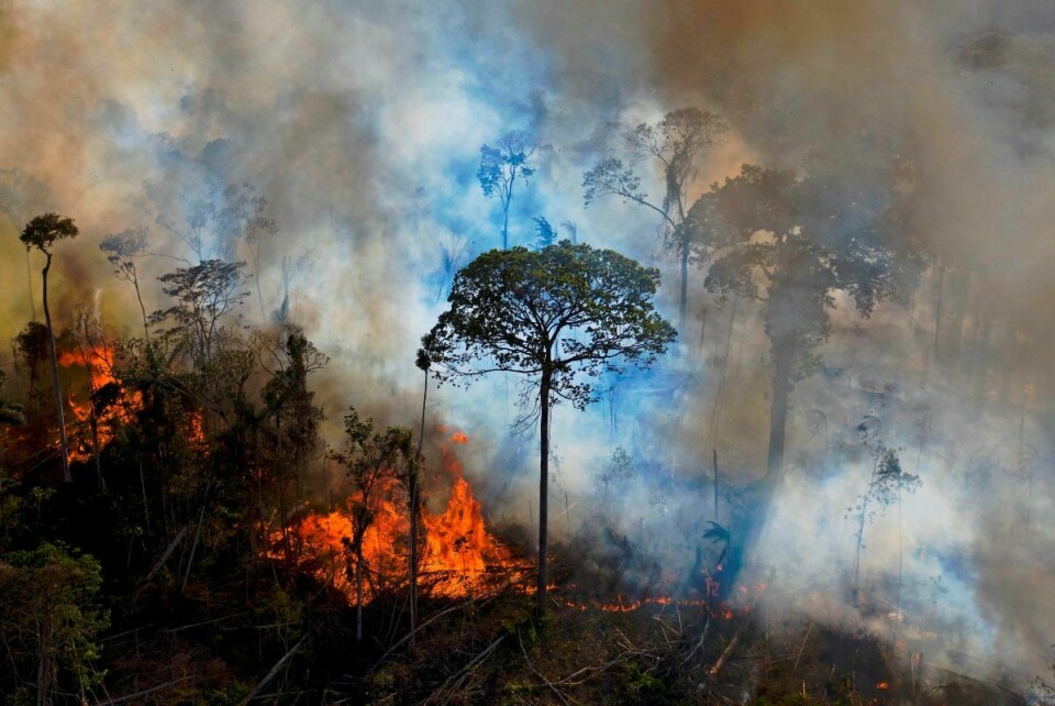 En ulovlig påsatt brann i den brasilianske regnskogen. Foto: NTB