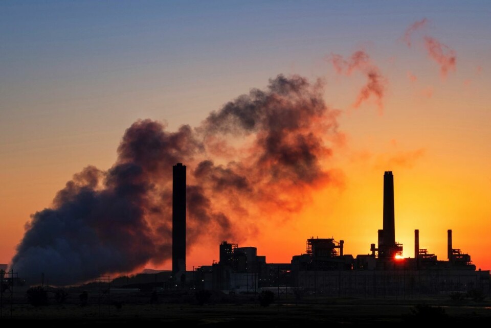 Forurensning og utslipp av skadelige klimagasser bidrar til naturmangfoldskrisen som verden står midt oppe i. Foto: AP / NTB