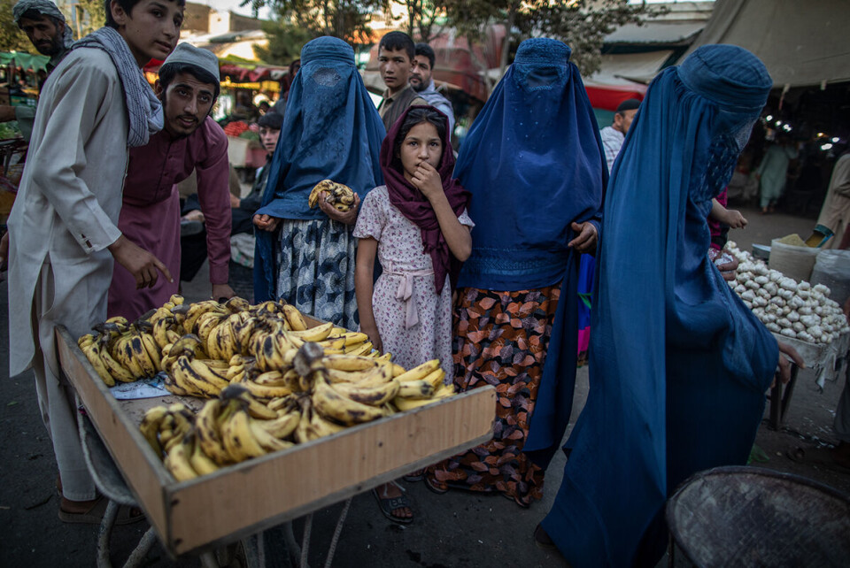 Verdensbanken og Det internasjonale pengefondet har frosset støtten til bistandsprosjekter, og USA har sperret Afghanistans valutareserver. På et marked i Kunduz, nord i Afghanistan, var det tett med folk denne uken, men den økonomiske utviklingen vekker bekymring. - Norske myndigheter bør målbære at en slik frys er uakseptabel, sier Kai Eide. Foto: Oliver Weiken / DPA / NTB