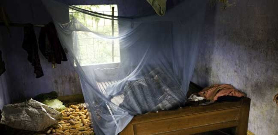 Fortsetter kampen mot barnemorderen malaria
