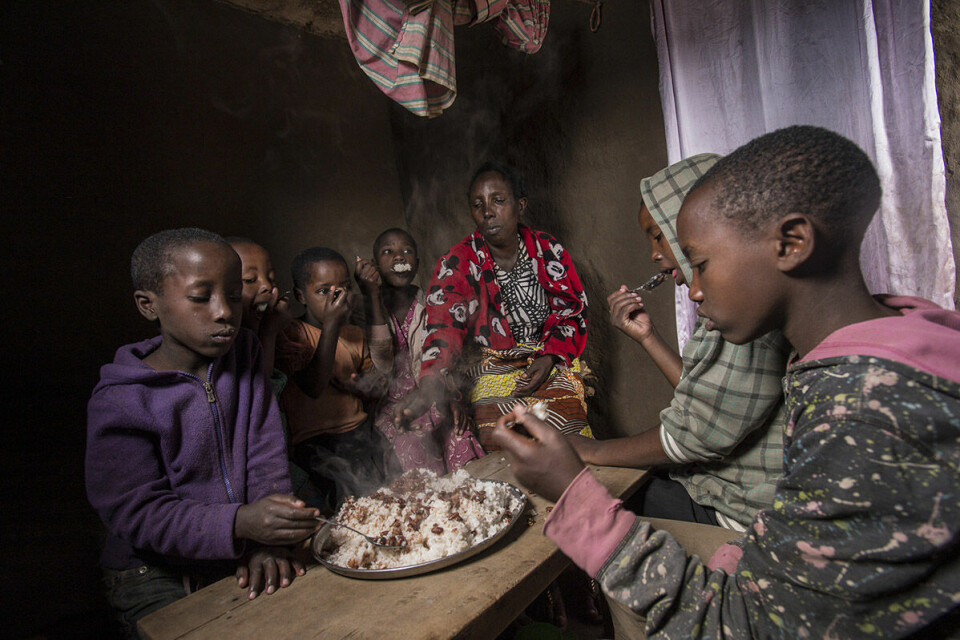Antall sultne i verden øker, går det fram av en ny FN-rapport. Bildet er fra DR Kongo. Foto: Hein Skullerud / Verdens matvareprogram