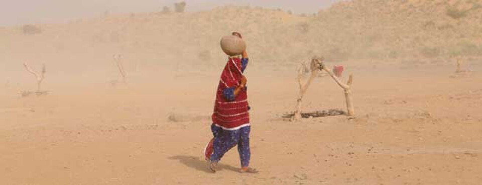 Mens andre deler av Pakistan er rammet av oversvømmelser, har det ikke regnet i Tharparkar-distriktet på over to år. Allerede i fjor ble det slått alarm da avlingene nok en gang slo feil på grunn av tørke. Foto: Lotte Dahlmann