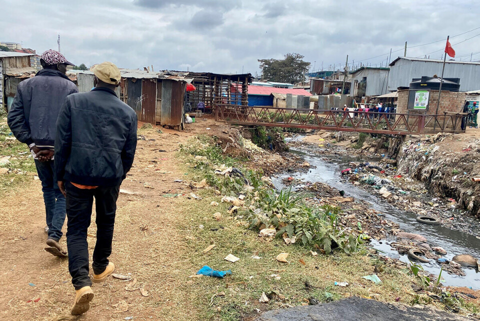 Ved broen til Kiberaslummen i Nairobi går ville skitne griser.