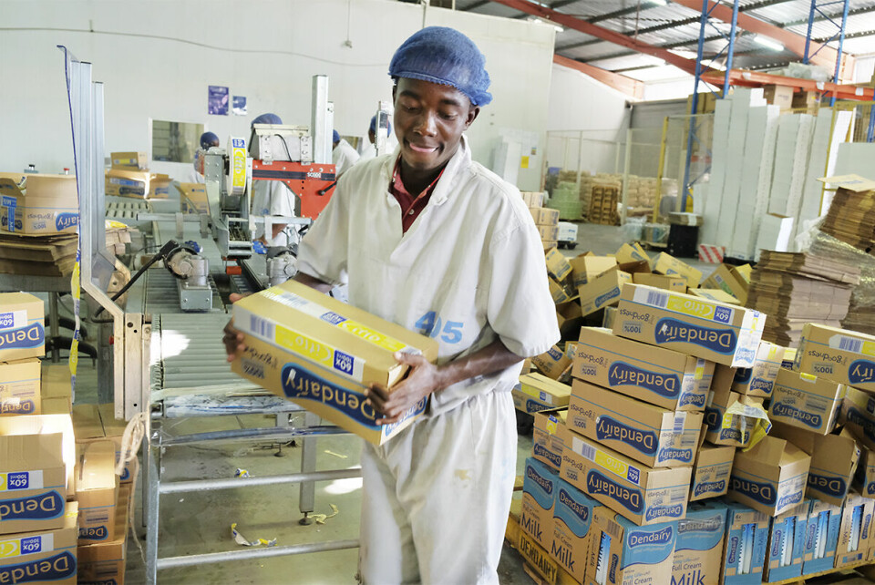 Dendairy-produktene finnes i kjøledisker over hele Zimbabwe. Rundt 300 personer jobber i meieriet, som nå også har skandinaviske eiere.