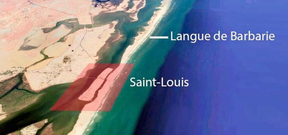 Tverst gjennom byen Saint-Louis går Senegal-elva. På øya i det røde feltet ligger gamlebyen. Mot havet ligger Langue de Barbarie. Foto: Google Maps