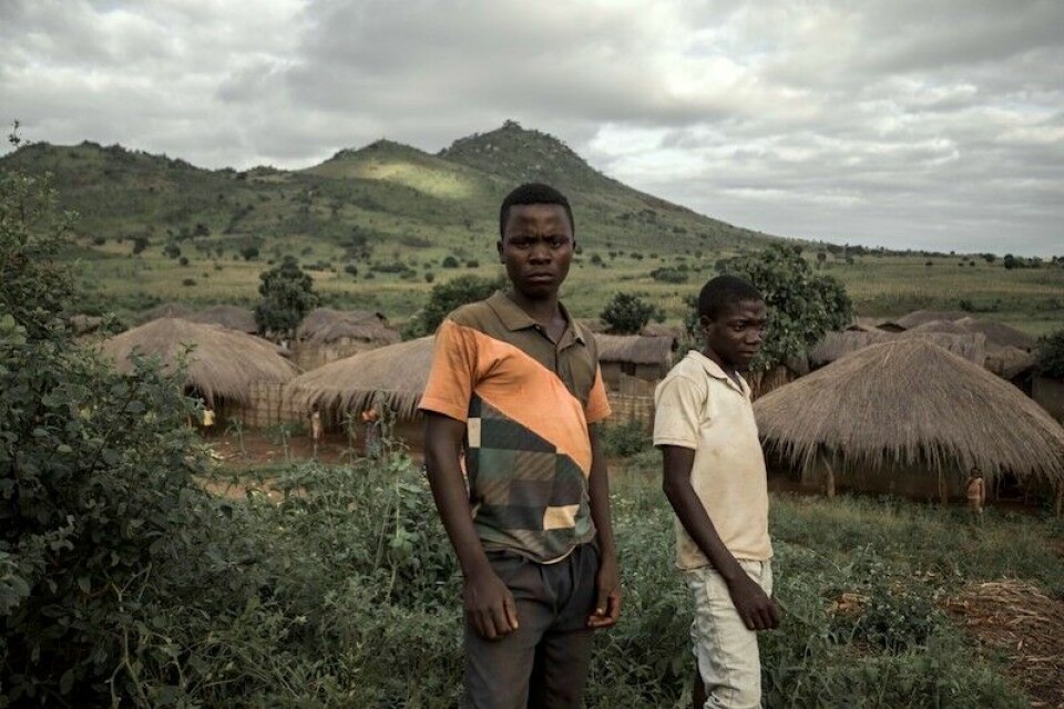 Lokalsamfunn og fattige bønder i det nordlige Mosambik føler seg ført bak lyset det norske skogselskapet Green Resources, skrev Bistandsaktuelt i januar 2018. Bildet er fra landsbyen Matemangue i Niassa-provinsen. Foto: Pascal Vossen