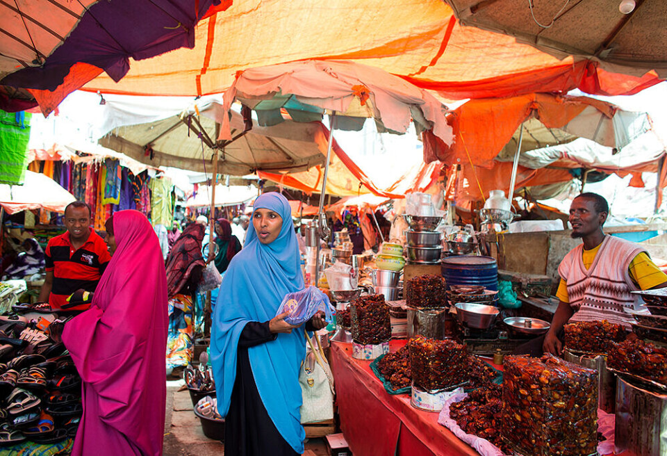 - Jeg ville bidra til Somalilands utvikling, sier Faduma Hassan som har flyttet tilbake til hjemlandet. Foto: Espen Røst - Jeg ville bidra til Somalilands utvikling, sier Faduma Hassan som har flyttet tilbake til hjemlandet. Foto: Espen Røst