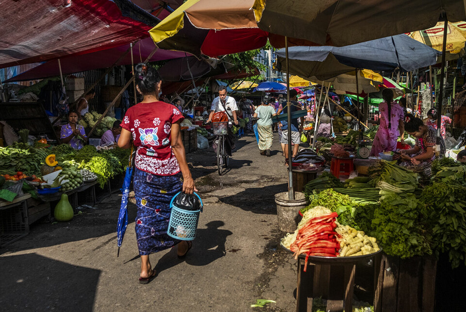 Grønnsaksprisene er normale, ifølge de Bistandsaktuelt snakket med på markedet i Kyamyindaing. WFPs undersøkelser viser at prisen på tomater og løk har sunket jevnt de siste månedene, grunnet sesongvariasjoner. Foto: Phoe Lone