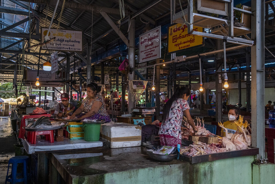 Da Bistandsaktuelt besøkte det største matmarkedet i Yangon-bydelen Kyamyindaing denne uka, fortalte folk om stadig økende matpriser. Foto: Phoe Lone Da Bistandsaktuelt besøkte det største matmarkedet i Yangon-bydelen Kyamyindaing denne uka, fortalte folk om stadig økende matpriser. Foto: Phoe Lone