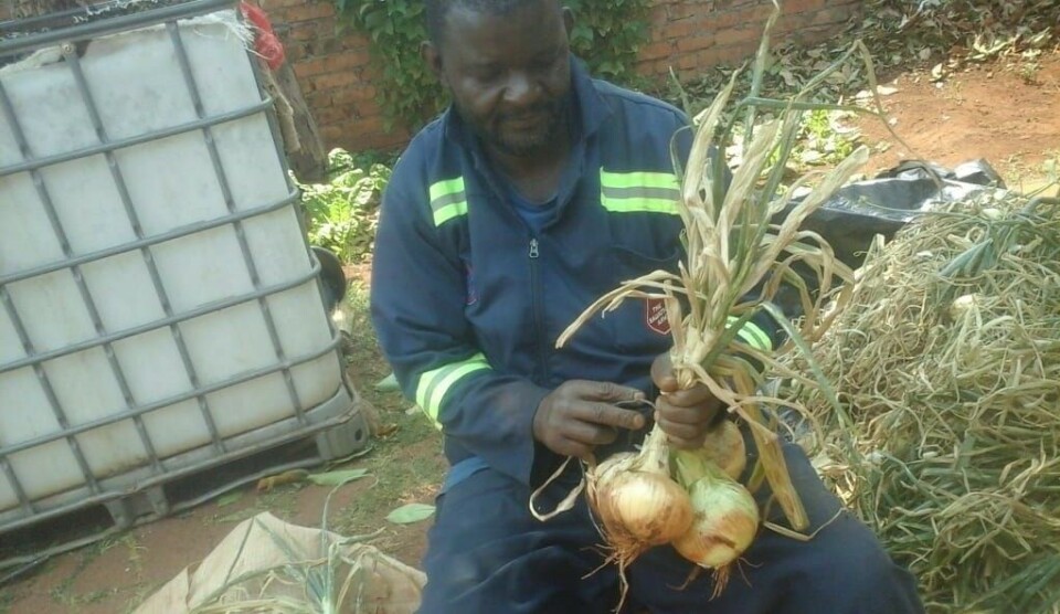 Myndighetene i Zimbabwe har lovet å støtte sårbare mennesker med månedlige utbetalinger fram til nedstengningen er over. Nå har det snart gått en måned, men selgere som Kunaka og Muparadzi har ikke sett noe til pengene. Foto: Jeffrey Moyo