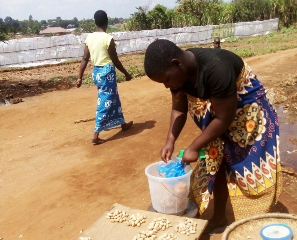 I Malawi har domstolene foreløpig stanset myndighetenes forsøk på smittebegrensende tiltak. Elina Nkhata, som lever av å selge ferske ristede jordnøtter og småkaker langs veien, frykter at familien vil sulte dersom salget hennes må opphøre. Foto: Raphael Mweninguwe