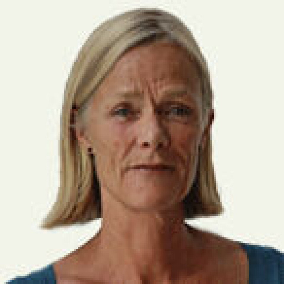 BI-professor Anne Welle-Strand.