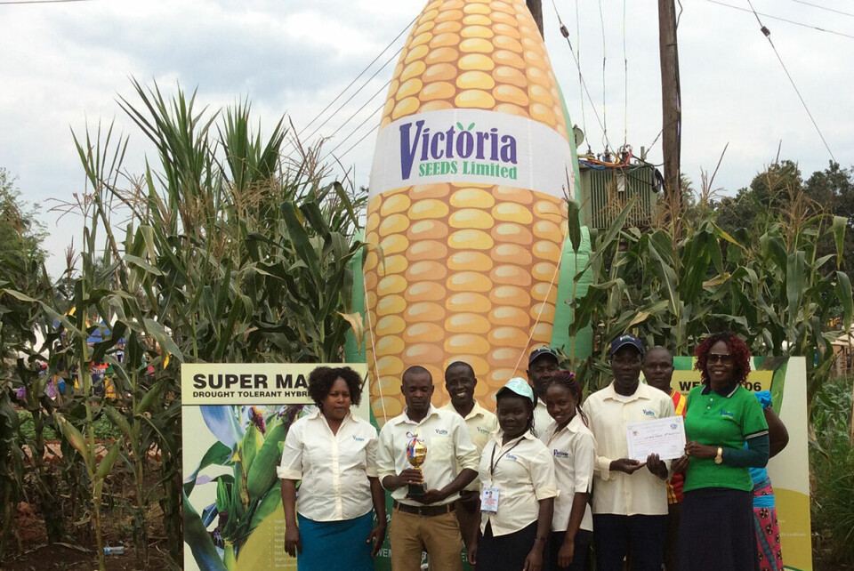 Bedriften Victoria Seeds har vunnet mange priser for arbeidet  med å produsere og kvalitetsikre såkorn i Uganda, men har også hatt store utfordringer og problemer med å tilbakebetale lån. Foto: Victoria Seeds