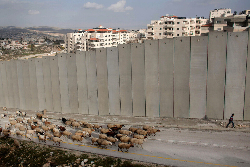 På spørsmål om hva Israel har gjort feil for å løse konflikten med Palestina, trekker Kobi Michael frem bosettingspolitikken. I INSS-planen peker han og medforfatterne på at Israel bør opprettholde de fem store bosettingsblokkene nær 67-grensen, men «fryse bygging» dypt inne i befolkede palestinske områder. Her gjeter en palestinsk gutt buskapen sin langs separasjonsmuren nær bosettingen Pisgat Zeev i Øst-Jerusalem. Foto: Ahmad Gharabli / AFP / NTB scanpix