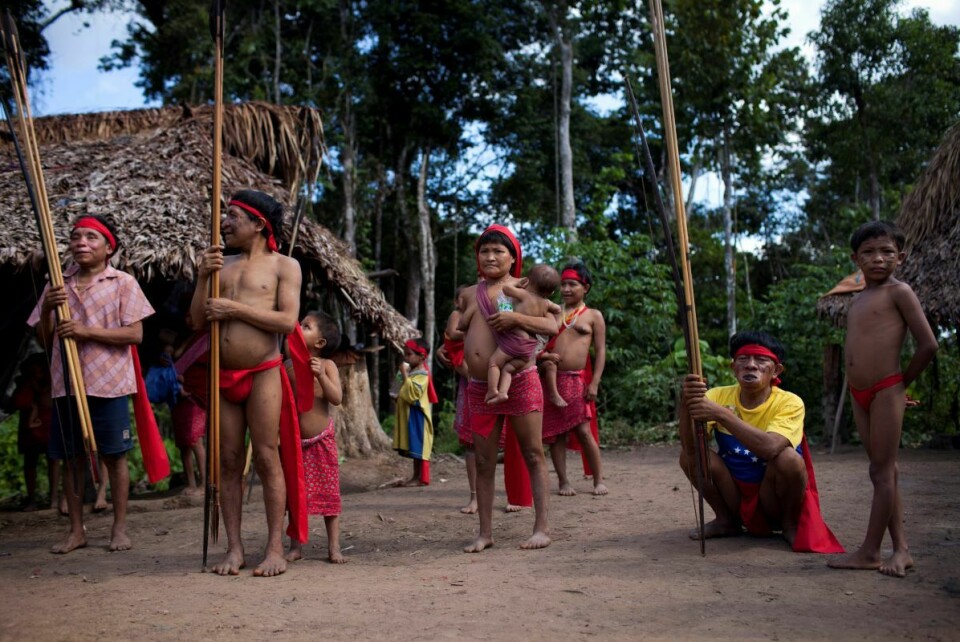 Yanomamier viser fram tradisjonell dans under en myndighetsorganisert journalistreise i delstaten Amazonas i Venezuela, rett ved grensen til Brasil i 2012. Foto: Carlos Garcia Rawlins / Reuters / NTB scanpix