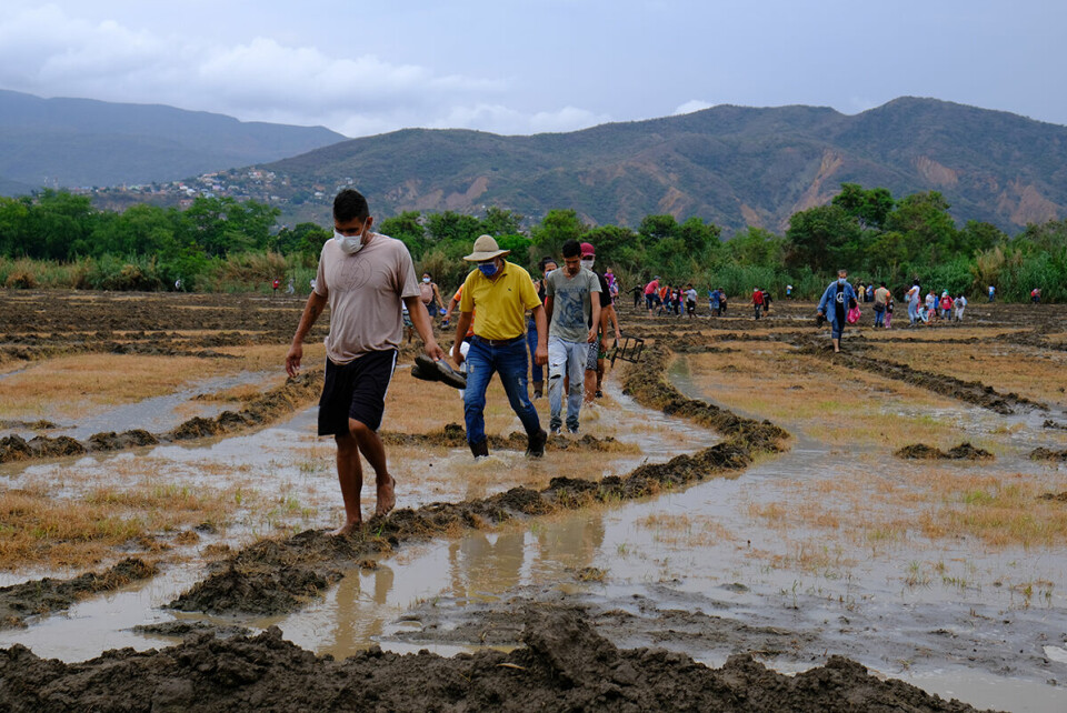 Den store flyktningstrømmen fra Venezuela kompliserer smittevernarbeidet for myndighetene i flere latinamerikanske land. Her fra grensebyen Cúcuta i Colombia. Foto: Ferley Ospina