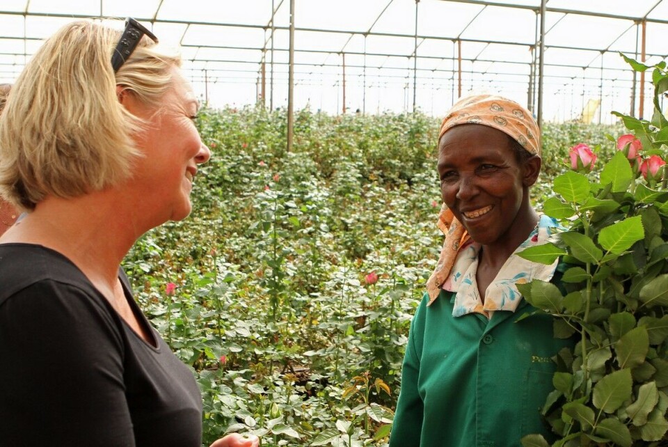 Roser fra Øst-Afrika bidro i 2015 til sterk vekst for Faitrade-merket i Norge. Bildet viser næringsminister Monica Mæland og en av de ansatte ved Fairtrade-produsenten Penta Flowers i Kenya. Mæland besøkte Kenya i fjor høst.