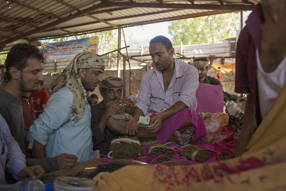 Salget går godt for en khat-handler i Aden. Planten som tygges av 90 prosent av alle voksne menn i Jemen, dyrkes i høylandet og trenger bort annen jordbruksproduksjon.