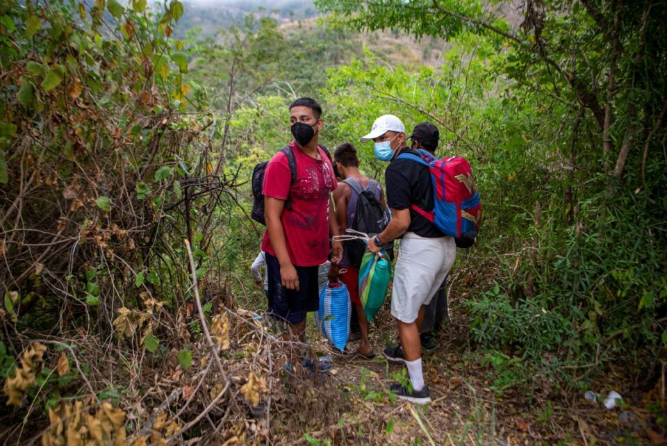 15 prosent av innbyggerne i Mellom-Amerika sier nå at de vurderer å emigrere, og det er nesten dobbelt så mange som for to år siden. Disse honduranerne forsøker å ta seg nordover via Guatemala til Mexico og USA. Foto: AP / NTB