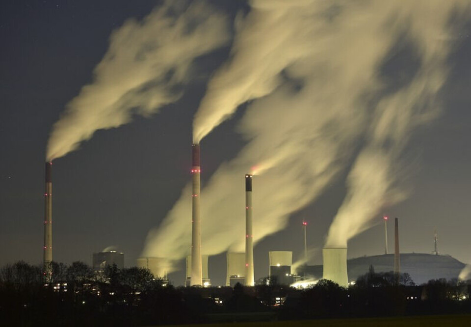 Kapital har ikke strømmet til prosjekter som skal verne natur. Foto: NTB scanpix/AP Photo/Martin Meissner