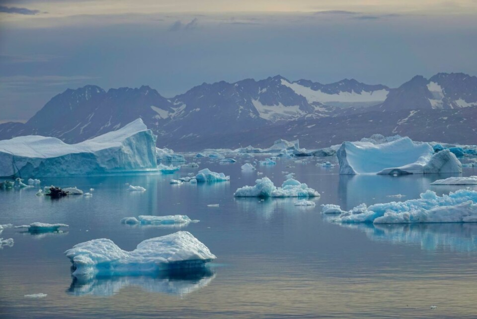 Drivende isfjell i Sermilikfjorden øst på Grønland. Lokalt og regionalt kan klimaet påvirkes av naturlige svingninger, som kommer i tillegg til den langsiktige globale oppvarmingen. Foto: Heiko Junge / NTB