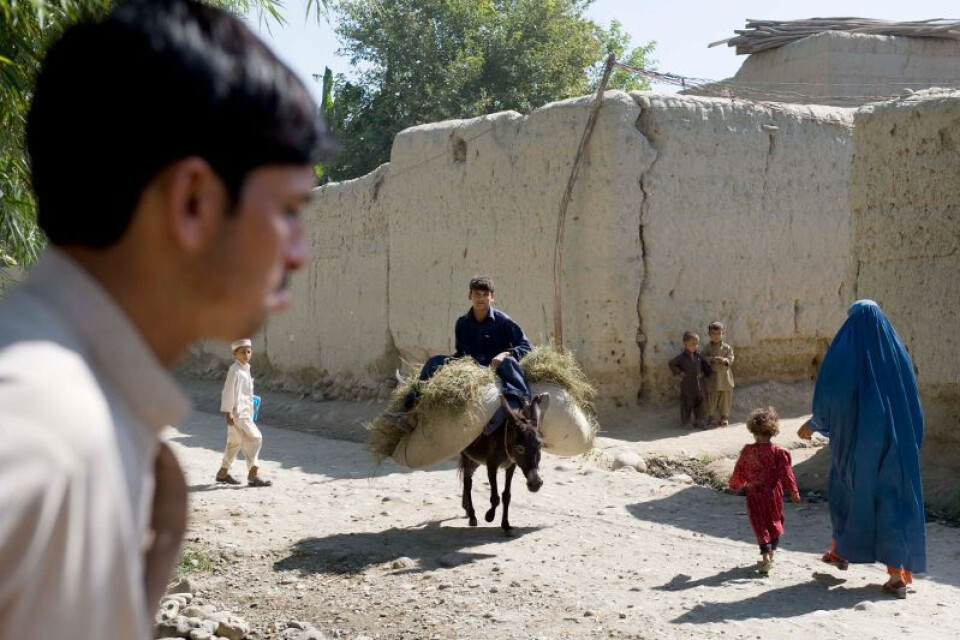 Rekordmange fordrevne i Afghanistan