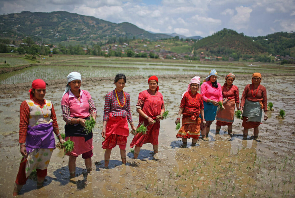 Mens milliardærenes formuer øker med 2,7 milliarder dollar per dag, er virkeligheten en helt annen for landarbeiderne i Nepal. De siste par årene har de opplevd at inflasjonen har økt mer enn lønningene. Foto: G.M.B. Akash / NTB