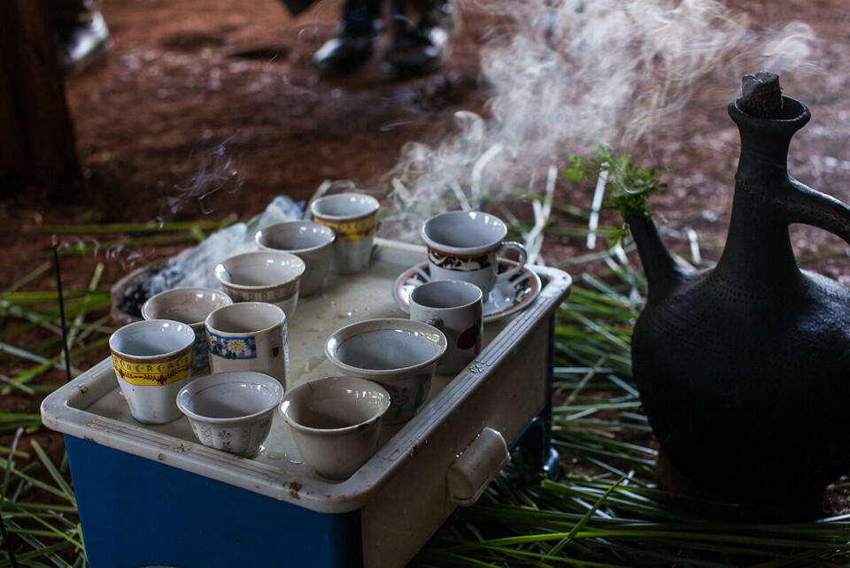 Etter olje er kaffe den største råvaren på verdensmarkedet. I Etiopia, hvor dette bildet er tatt, utgjør kaffe 60 prosent av eksportinntektene. Foto: Harald Herland / Utviklingsfondet.