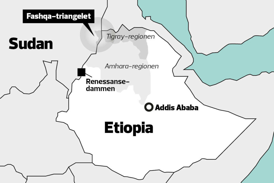Stridens kjerne er Al-Fasheqa-triangelet, eit grøderikt jordbruksland som strekkjer seg frå grensa til Eritrea i nord og sørover langs grenselinja mellom Sudan og Etiopia, med delstatane Tigray og Amhara på etiopisk side og Kassala, Gedaref og Sennar på sudansk side. Kart: Tim Harding