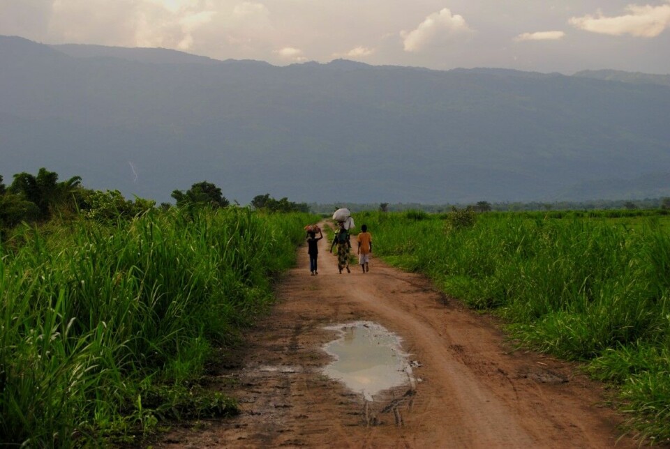 Norfund har investert risplantasjen KPL i Kilomberodalen i Tanzania. Selskapet har ikke greid å tjene penger, og er nå i store økonomiske problemer. Artikkelforfatteren mener at selskapet og Norfund har undervurdert hvor det vanskelig å etablere storskala landbruk. Bildet er fra en av landsbyene i nærheten av plantasjen. Foto: Mikael Bergius.