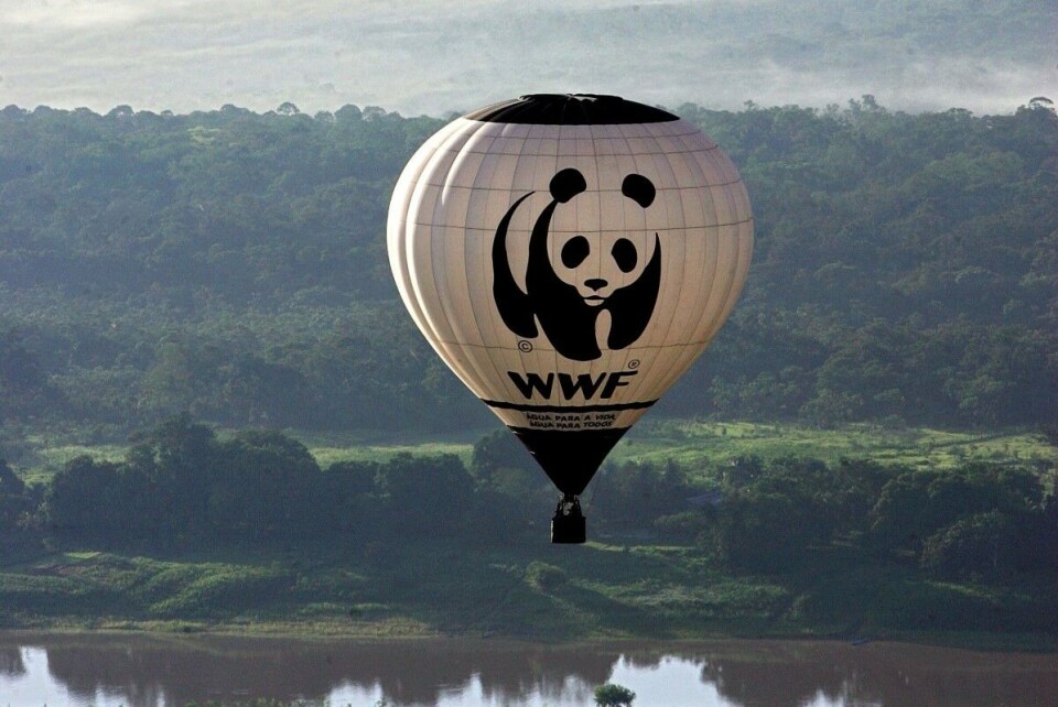 WWF har blitt beskyldt for å finansiere skogvoktore som står bak drap, voldekt og tortur. Oranganisasjonen har igangsatt en granskning av påstandene, som kom fram i flere artikler hos nettavisen BuzzFeed. Foto: Evaristo Sa / AFP / NTB scanpix