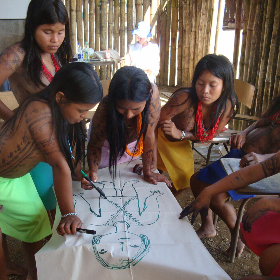 I store deler av verden opplever unge flere barrierer for tilgang til grunnleggende informasjon og tjenester som er nødvendig for å oppnå seksuell og reproduktiv helse, inkludert seksualitetsundervisning som legger vekt på menneskerettigheter og likestilling, skriver artikkelforfatterne. Bildet viser  undervisning av jenter fra en av urfolksgruppene i Colombia. Foto: UNFPA