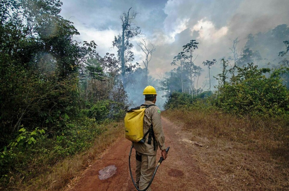 Det er ikke tilfeldig at avskoginga øker, brannene blir verre og at urfolks liv og levemåte trues. President Bolsonaro og regjeringa hans hugger ned regnskogen for å tjene mest mulig penger på industrielt landbruk, gruvedrift og salg av tømmer, skriver Gjelsvik, Lundteigen og Pleym. Foto: NTB