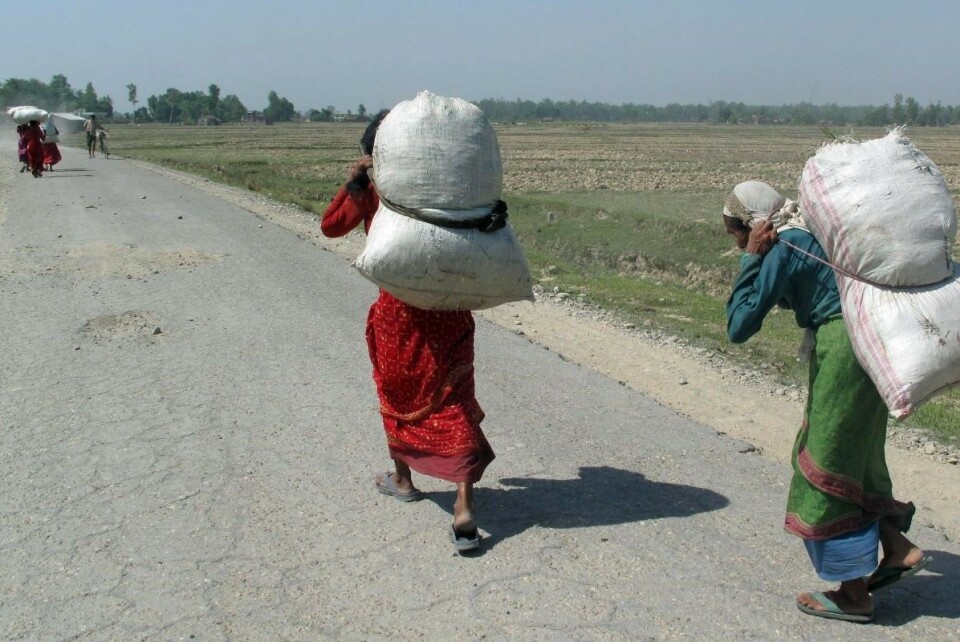 Kvinnelige bønder bærer varer til markedet i Kailali-distriktet vest i Nepal, et område der norsk bistand har bidratt til landbruksutvikling. Foto: Marte Lid, Norad