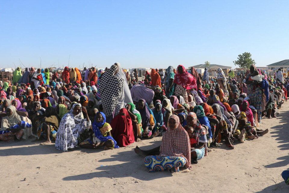 Det er sult i Nigeria og nabolandene. Hvorfor stiller ikke vestlige medier og hjelpeorganisasjonene Nigerias rike politikere til ansvar? spør Anne Håskoll-Haugen.