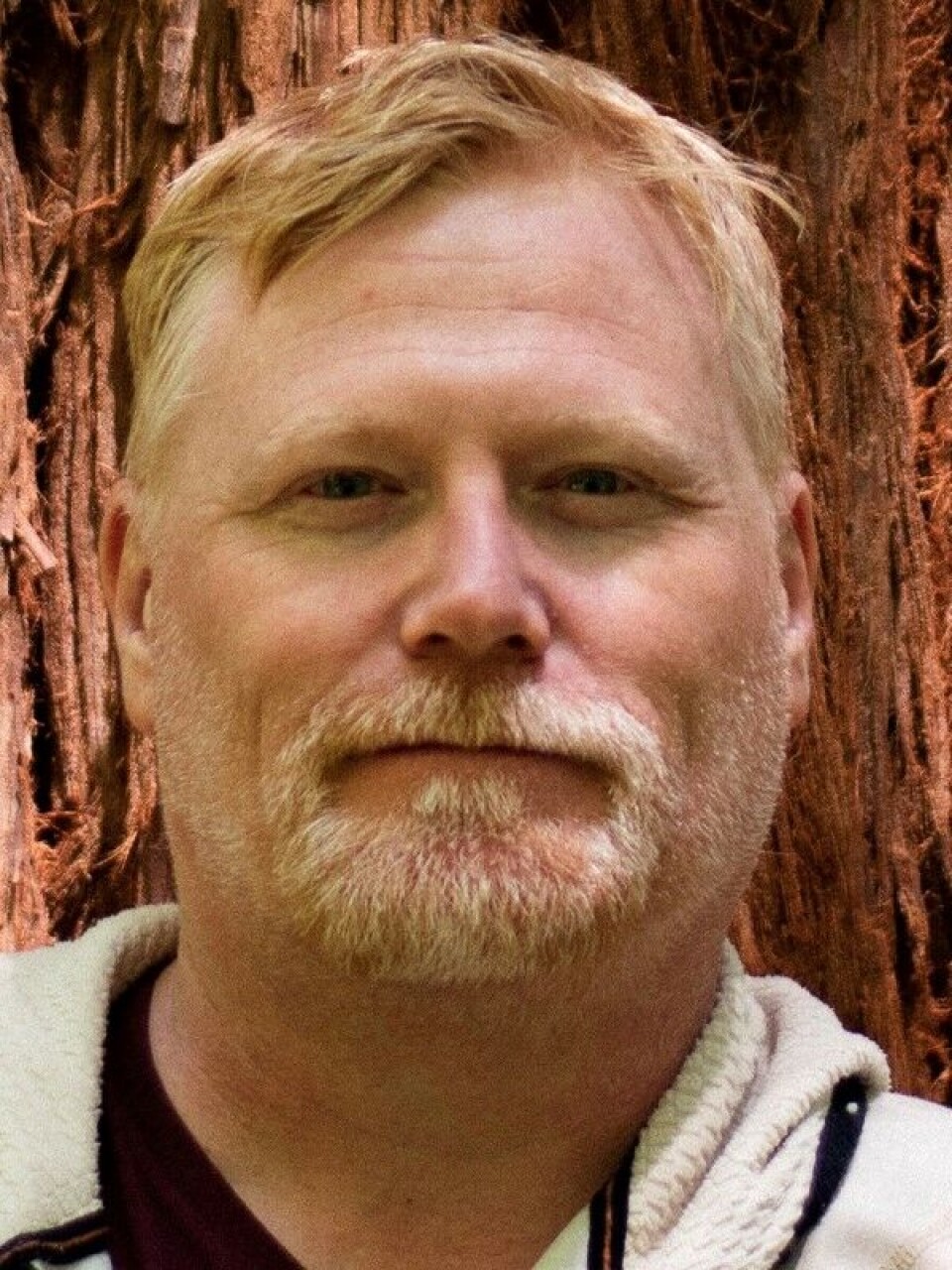 Øyvind Dahl