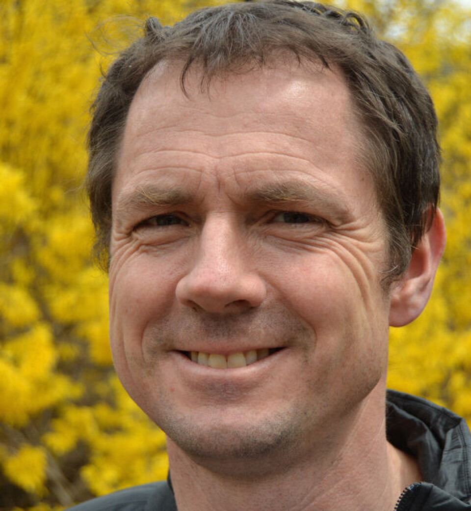 Geir Arne Bore