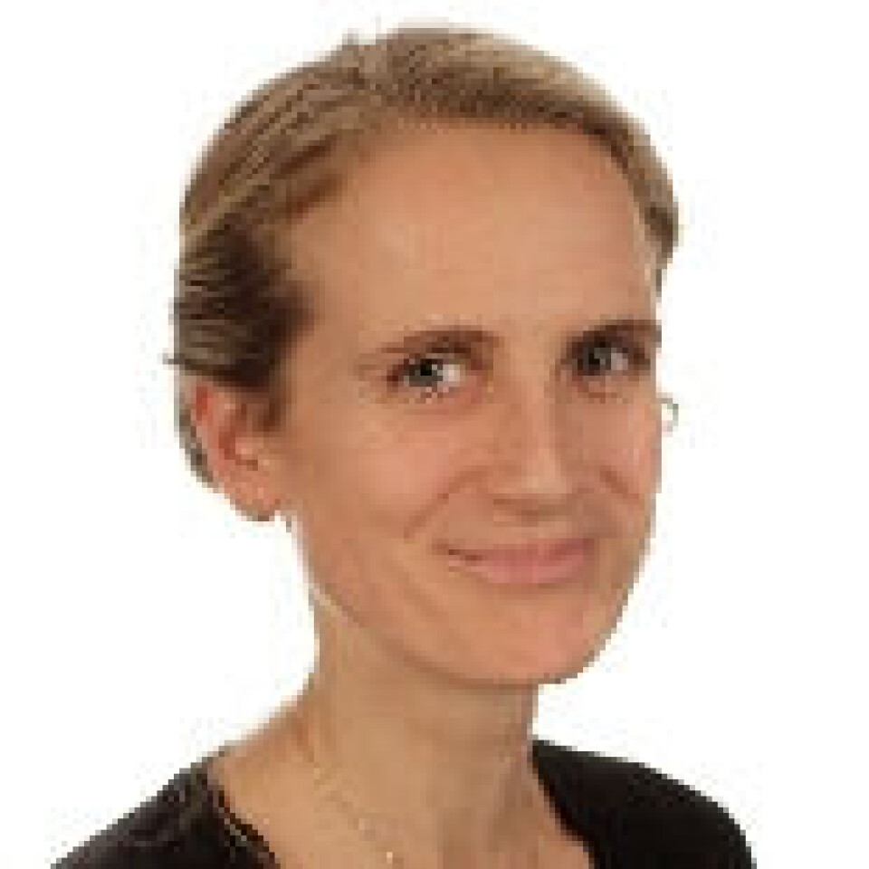 Leder for medie- og kommunikasjonsseksjonen i Flyktninghjelpen