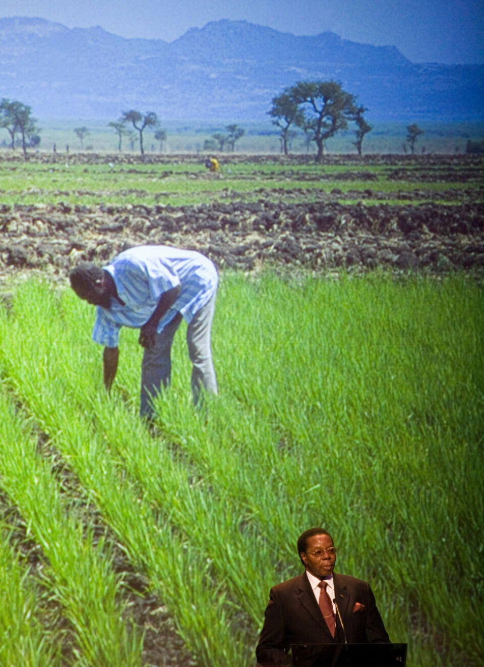 Subsidier rammet av korrupsjon i Malawi