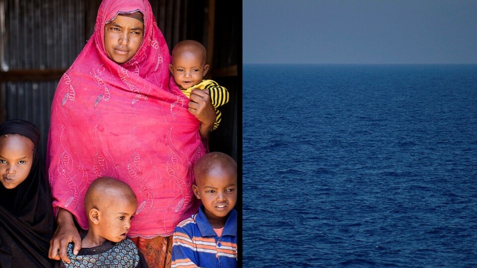Stories from the other side (of the Mediterranean)