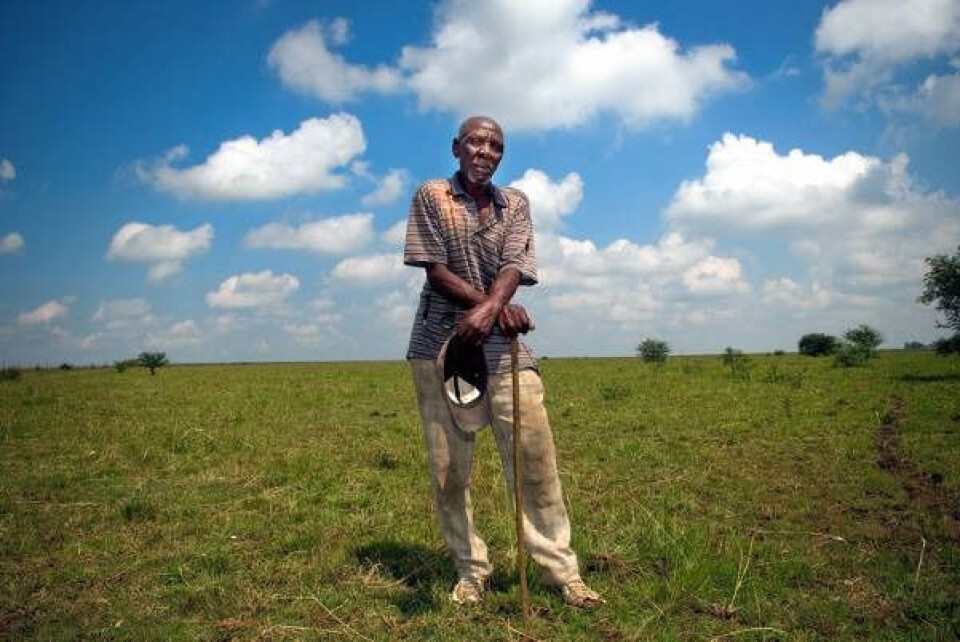 Treg jordreform i Sør-Afrika