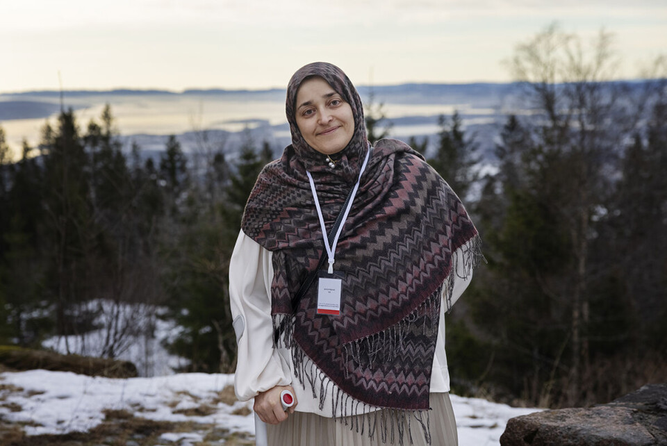 Jamila Afghani har kjempet for afghanske kvinners rettigheter i en årrekke. Nå har hun igjen møtt Taliban ansikt til ansikt i Oslo. Hun omtaler møtet som en icebreaker. Foto: Andrea Gjestvang / Bistandsaktuelt