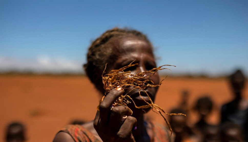 Manglende rett til å eie og arve jord og til å delta i beslutningsprosesser fører til at kvinner blir ekstra sårbare i møte med klimakrisa. Derfor er det både bra og på tide at nettopp likestilling i lys av klimaendringene er tema for det pågående kvinnekommisjonsmøtet i FN, skriver Julie Rødje. Her holder en kvinne en vissen kornplante på et jorde dekket av sand på Madagaskar, 11. februar i år.